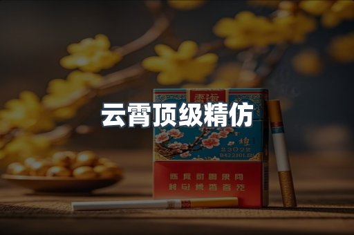 云霄顶级精仿